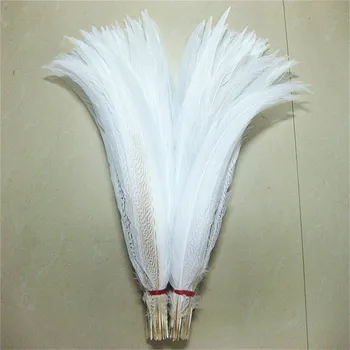 10-80 Cm 4-32 inci Bulu Ekor Burung Pegar Perak Alami Bulu Pegar Putih untuk Kerajinan Kostum Pernikahan Bulu Ayam Plume