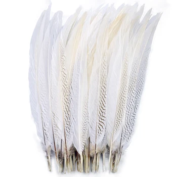 Grosir Bulu Burung Pegar Perak Alami Bulu Ayam Putih Panjang untuk Dekorasi Kerajinan Pakaian Dekorasi Pesta Pernikahan Karnaval
