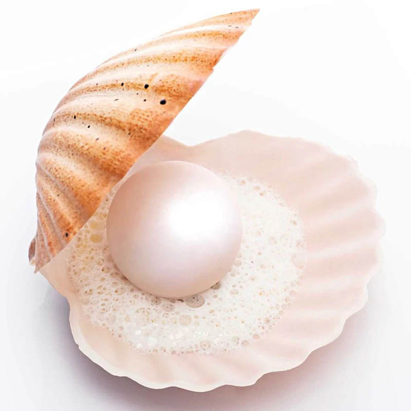 Meibum Cetakan Silikon Kue Tema Laut Cetakan Kue Desain Mutiara Cangkang Alat Dekorasi Kue Perlengkapan Dapur Food Grade - 4