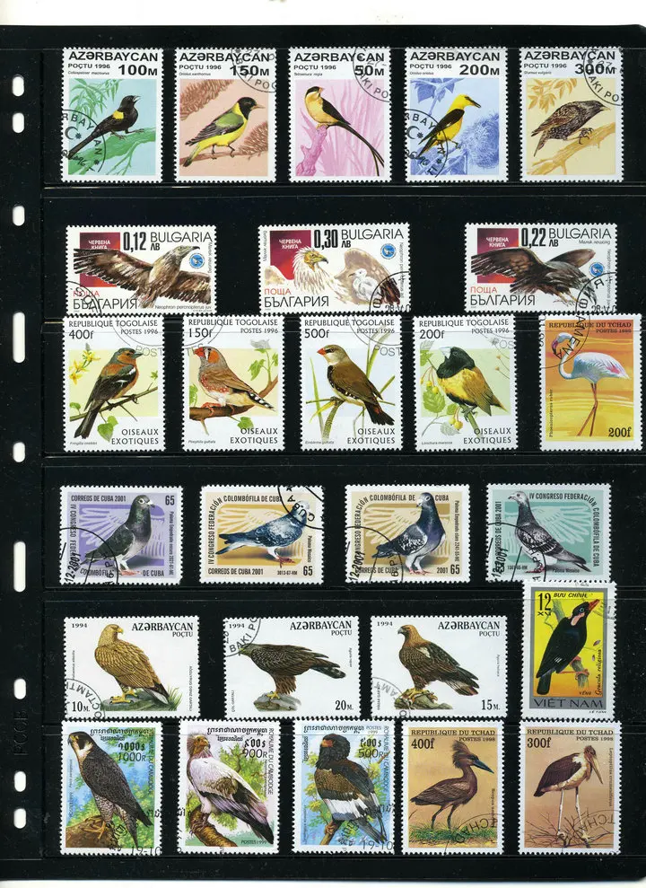 Baru 50 Buah / Banyak Burung Parrot Eagle Semua Berbeda dari Banyak Negara TIDAK Ada Berulang Perangko untuk Mengumpulkan - 0