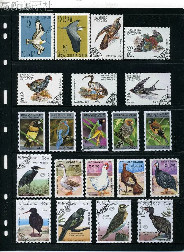 Baru 50 Buah / Banyak Burung Parrot Eagle Semua Berbeda dari Banyak Negara TIDAK Ada Berulang Perangko untuk Mengumpulkan - 4