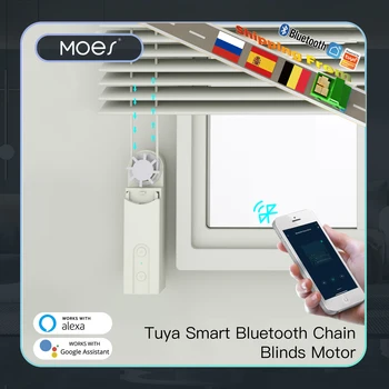 Moes Tuya Smart Bluetooth DIY Roller Blind / Kerai Listrik Kontrol Motor Penggerak Aplikasi Kehidupan Cerdas Gerbang Kendali Jarak Jauh Nirkabel