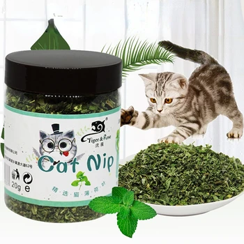 Organik 100% alami kualitas tinggi catnip rumput ternak rasa Mint Mainan kucing lucu Mainan kucing baru Mainan kucing interaktif Persediaan hewan peliharaan