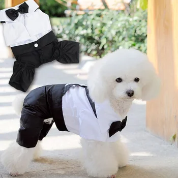 Pakaian Gaun Pengantin Setelan Anjing Peliharaan Tampan untuk Anjing Kecil Mantel Pudel Teddy Puppy Pakaian Hewan Peliharaan Aksesori Anjing roupa cachorro