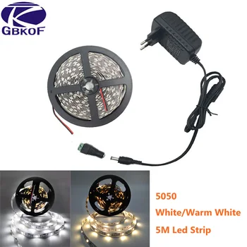 Strip LED 5m Pita Warna Tunggal Putih Hangat Putih Diod DC12V 300LED/5m Pita Fleksibel 5050 2835 SMD Strip lampu led fita+Adaptor